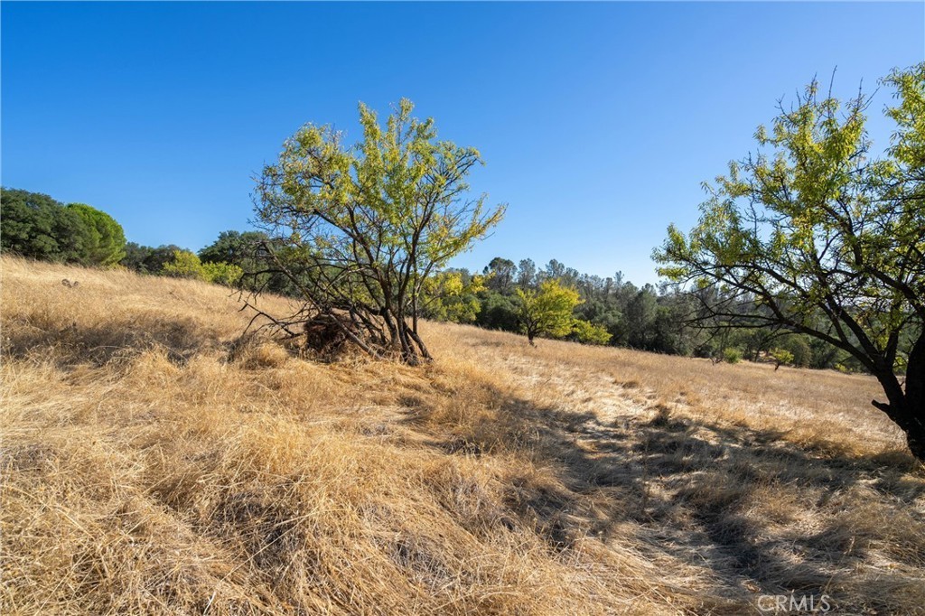 10. 0 Skyline Boulevard A