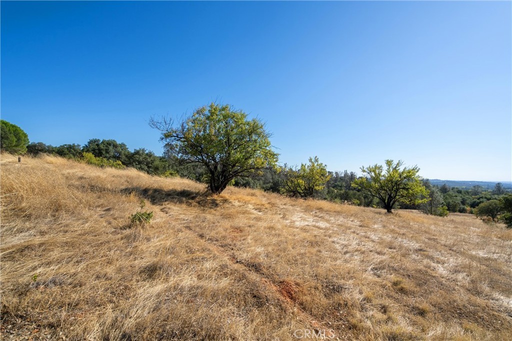 8. 0 Skyline Boulevard A