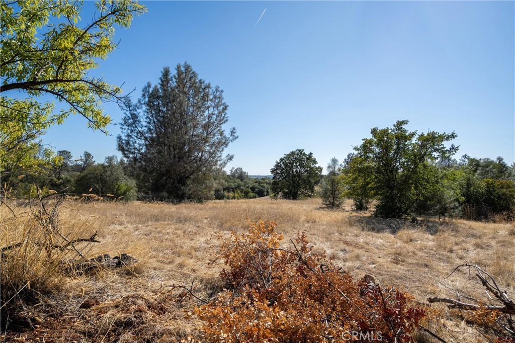 17. 0 Skyline Boulevard A