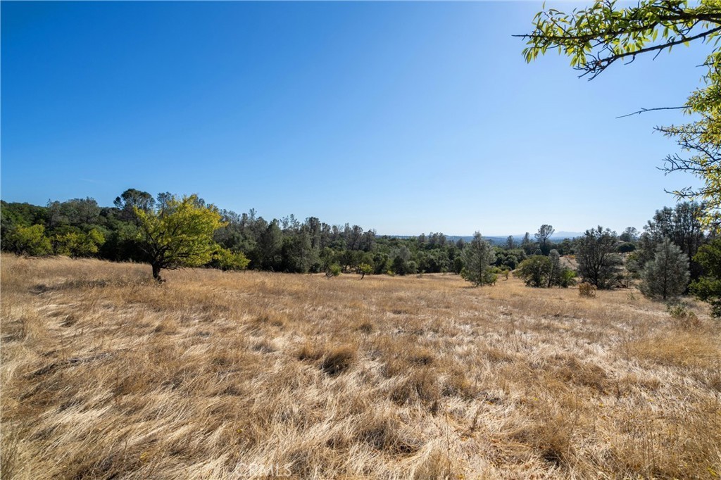 11. 0 Skyline Boulevard A