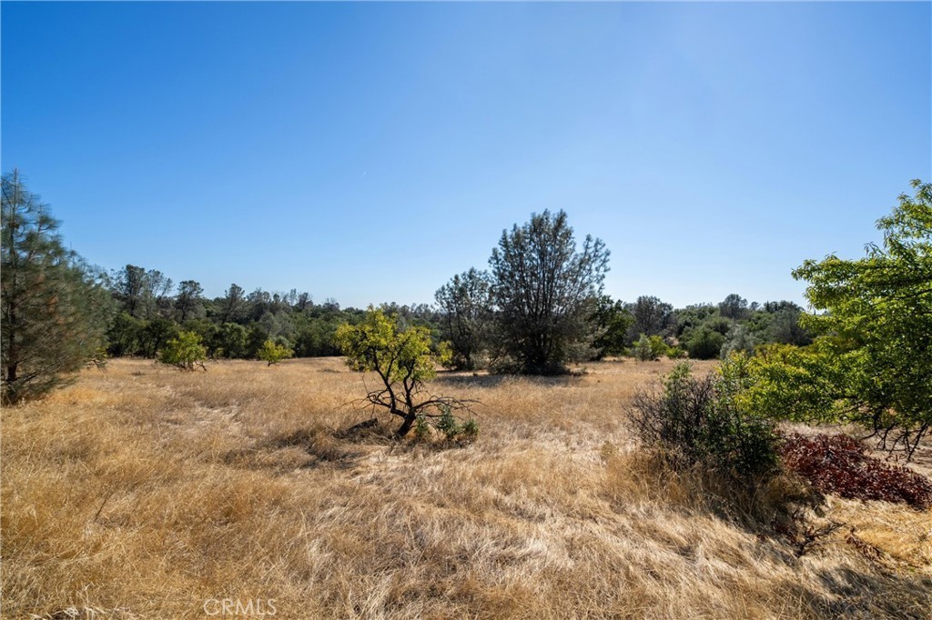 13. 0 Skyline Boulevard A