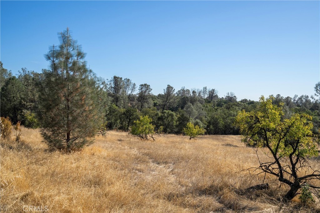 15. 0 Skyline Boulevard A