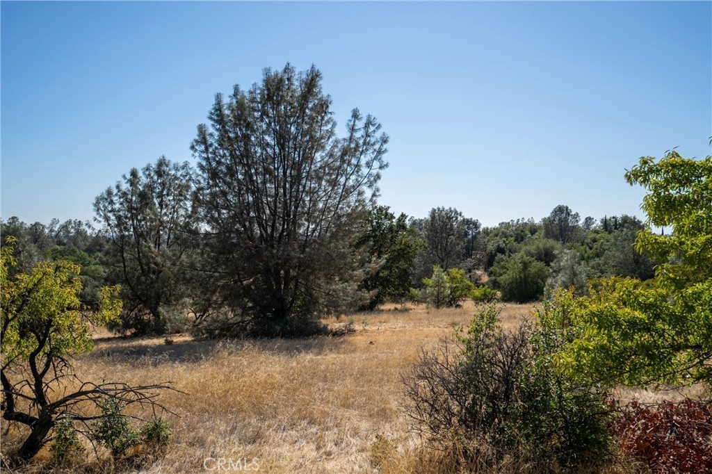 14. 0 Skyline Boulevard A