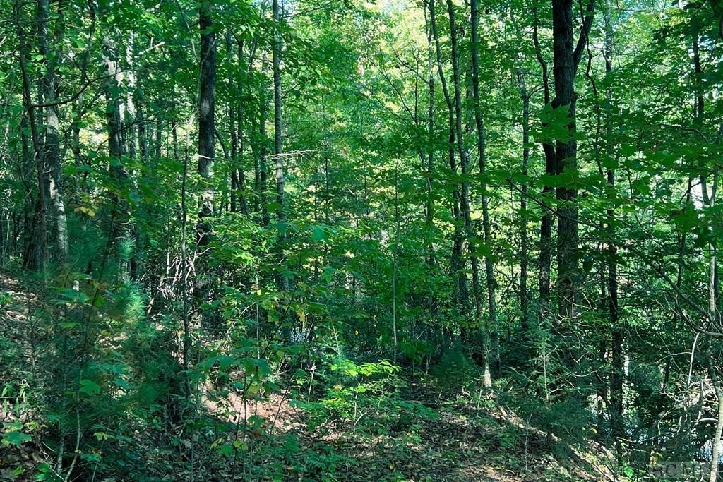 6. Lot 17 Cullowhee Forest Road