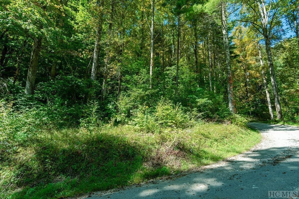 1. Lot 17 Cullowhee Forest Road