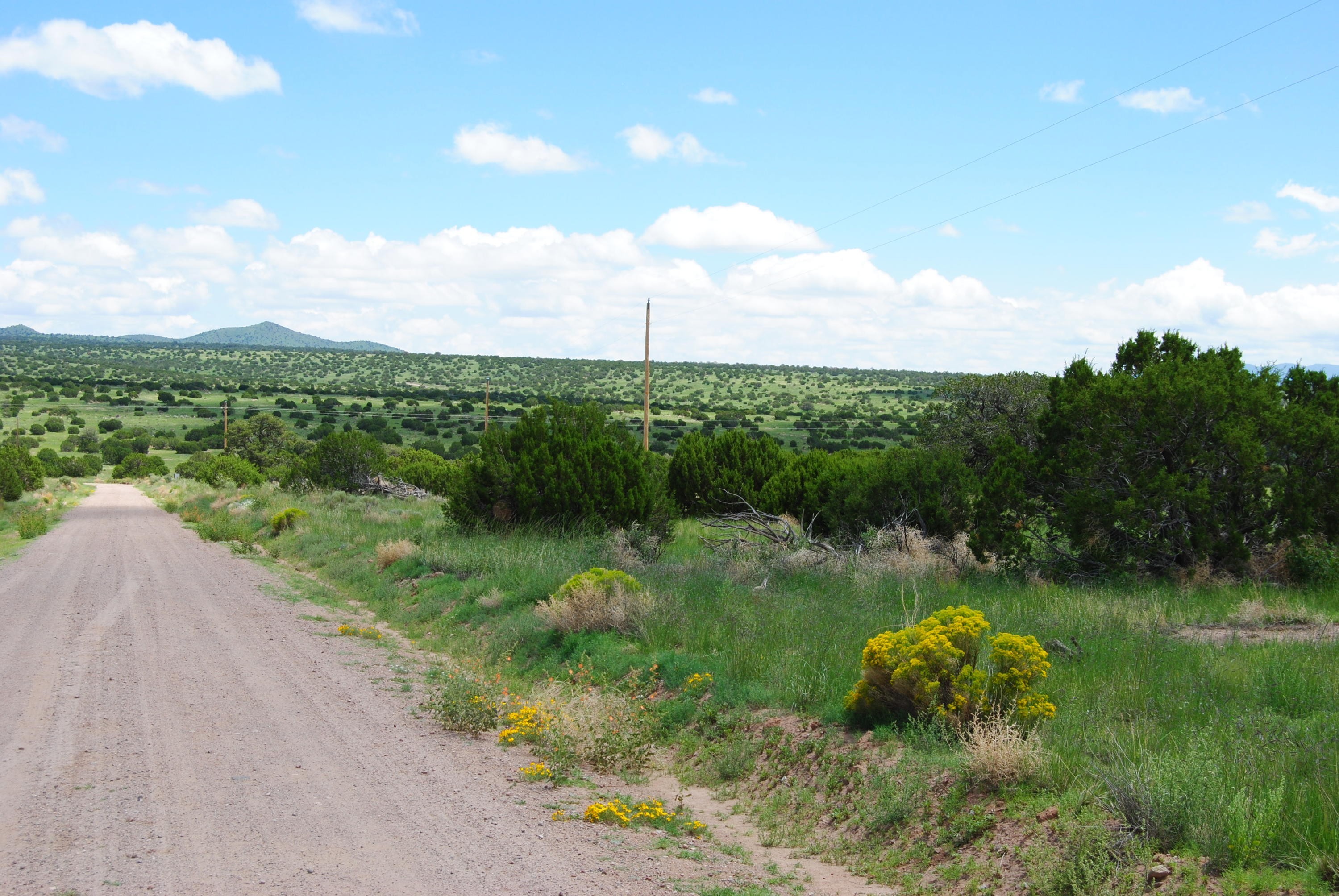 2. 67 Pinon Springs Road