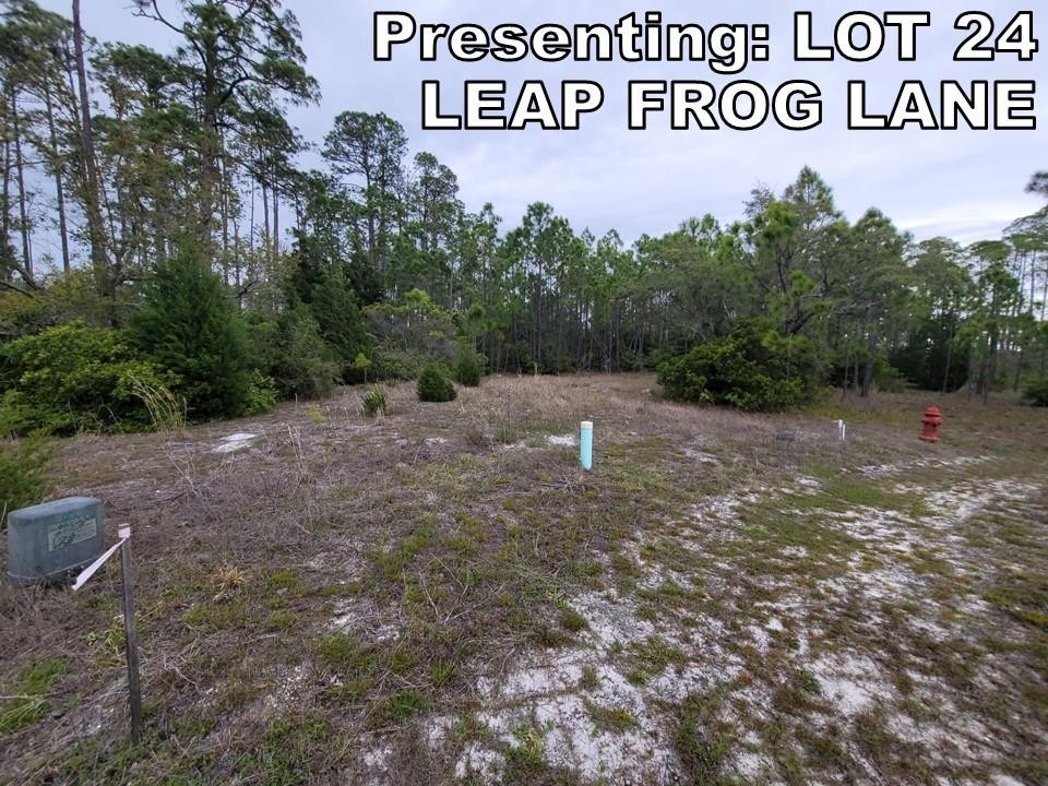 1. Lot 24 Leap Frog Lane