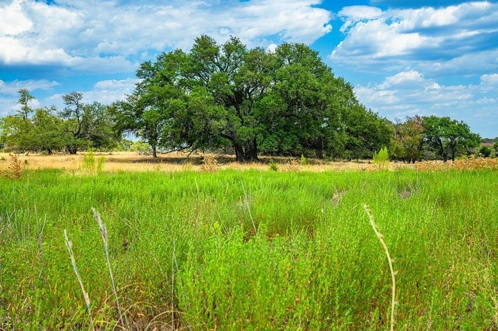 1. Tbd Grape Creek Rd