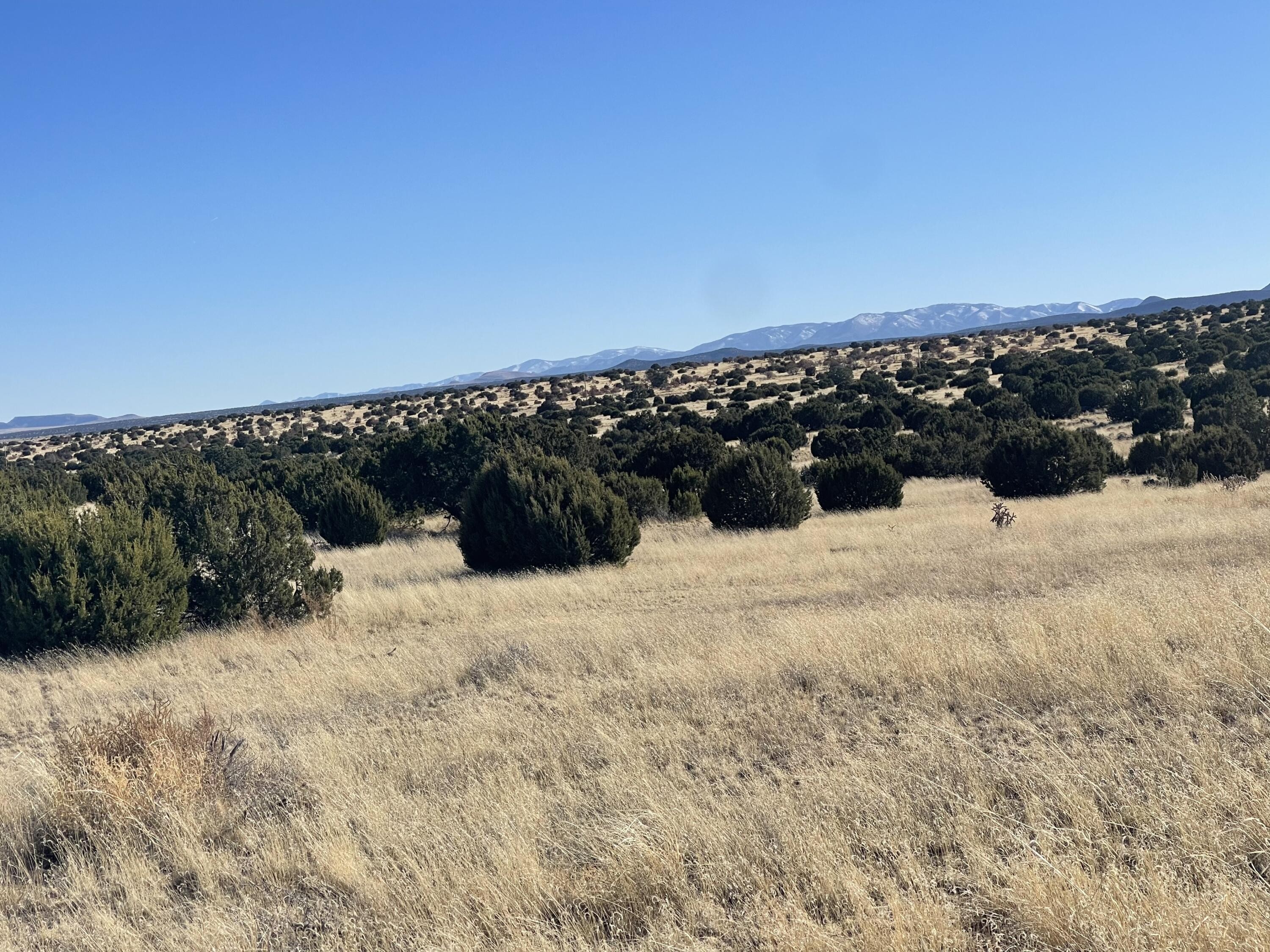 3. Lot 24 Pinon Springs Road