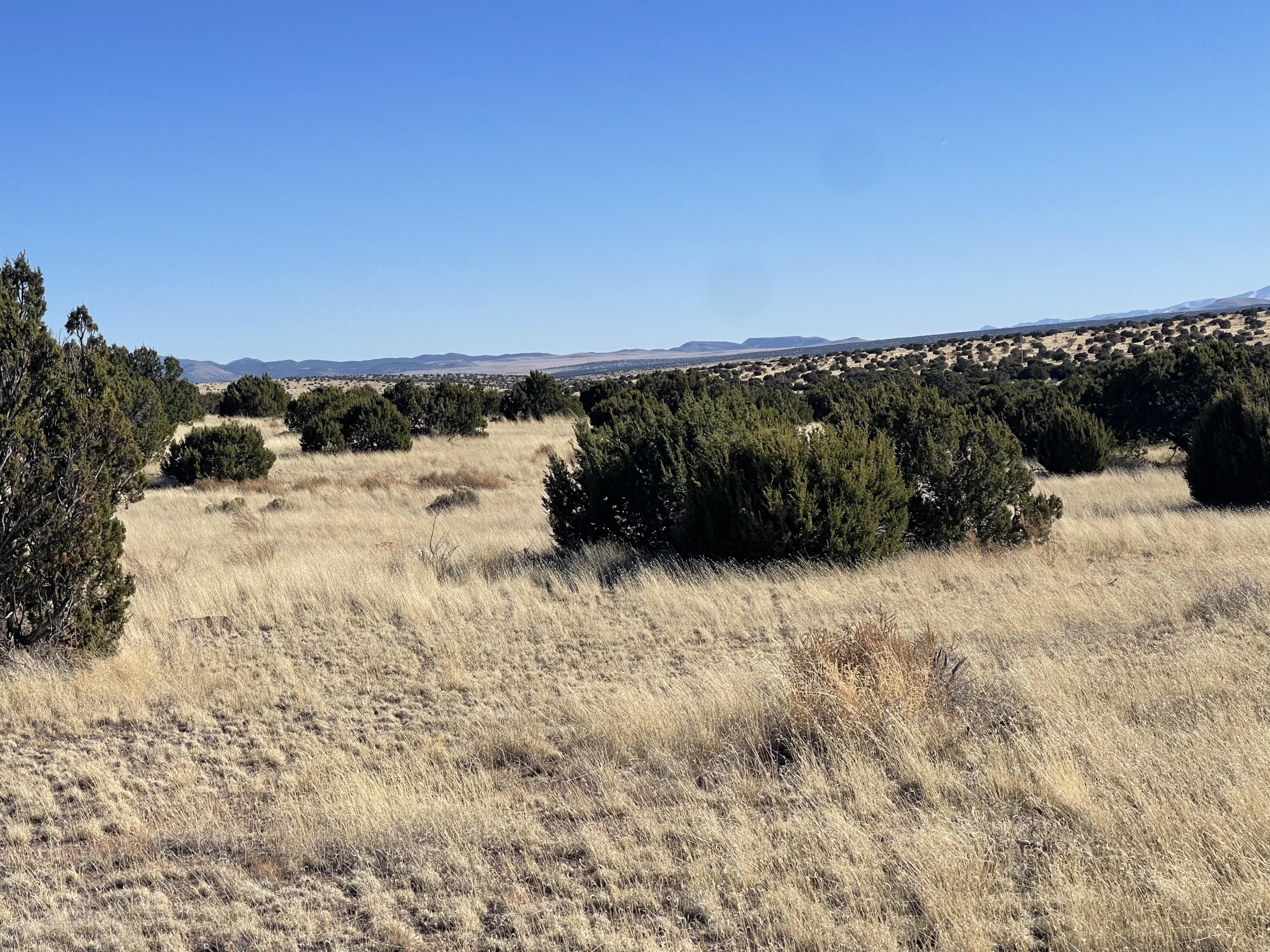 4. Lot 24 Pinon Springs Road