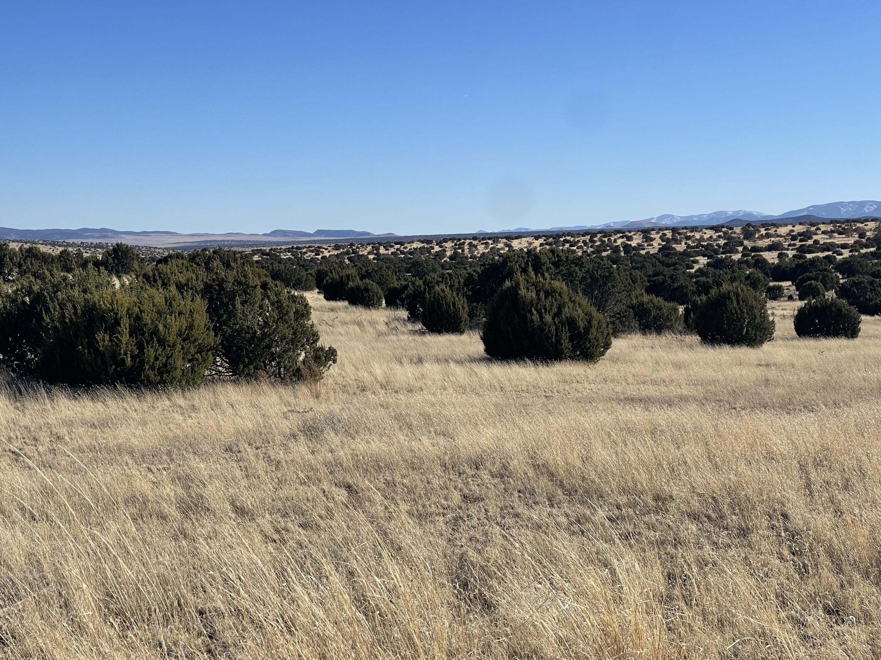 5. Lot 24 Pinon Springs Road