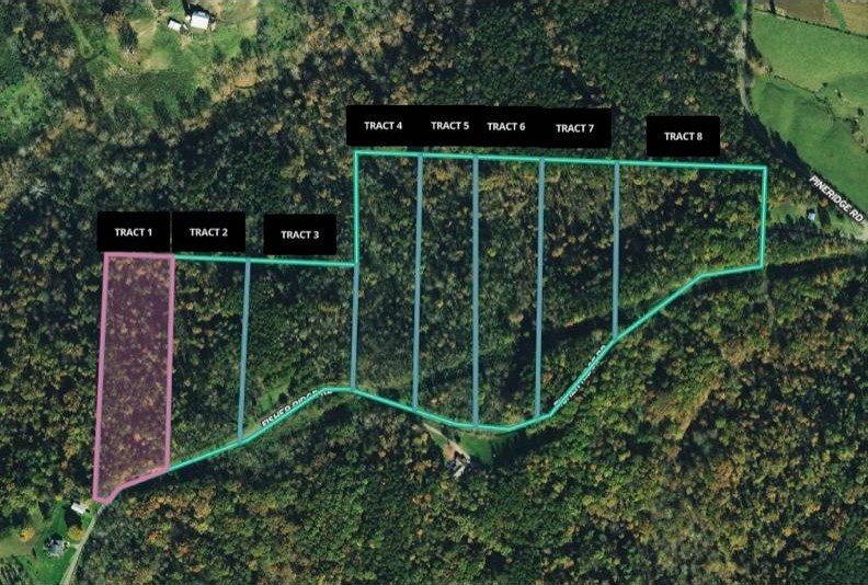 6. 0 Fisher Ridge Rd Tract 1