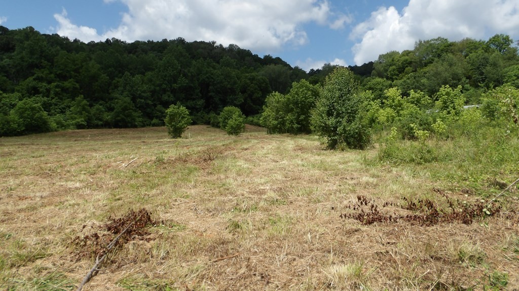 10. 5.6 Ac Lonnie Reece Rd