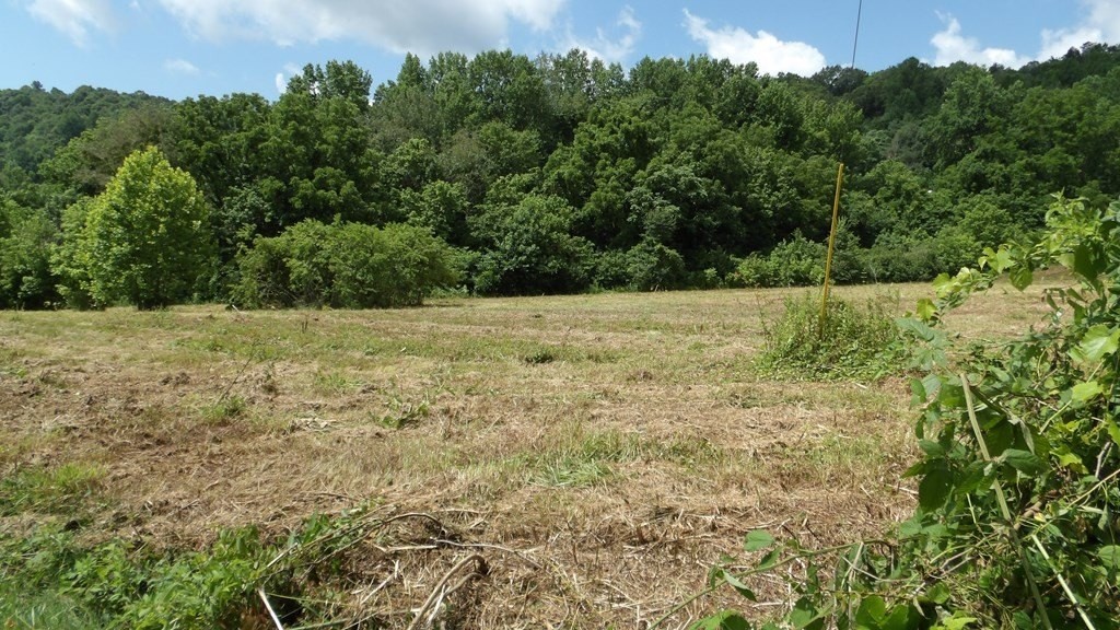 8. 5.6 Ac Lonnie Reece Rd