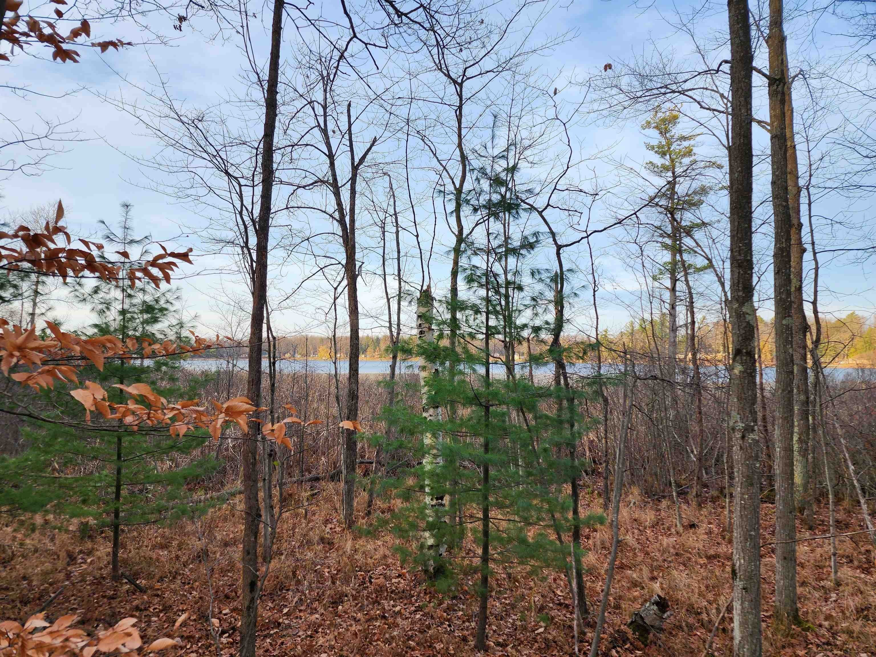2. 5+/- Acres Browns