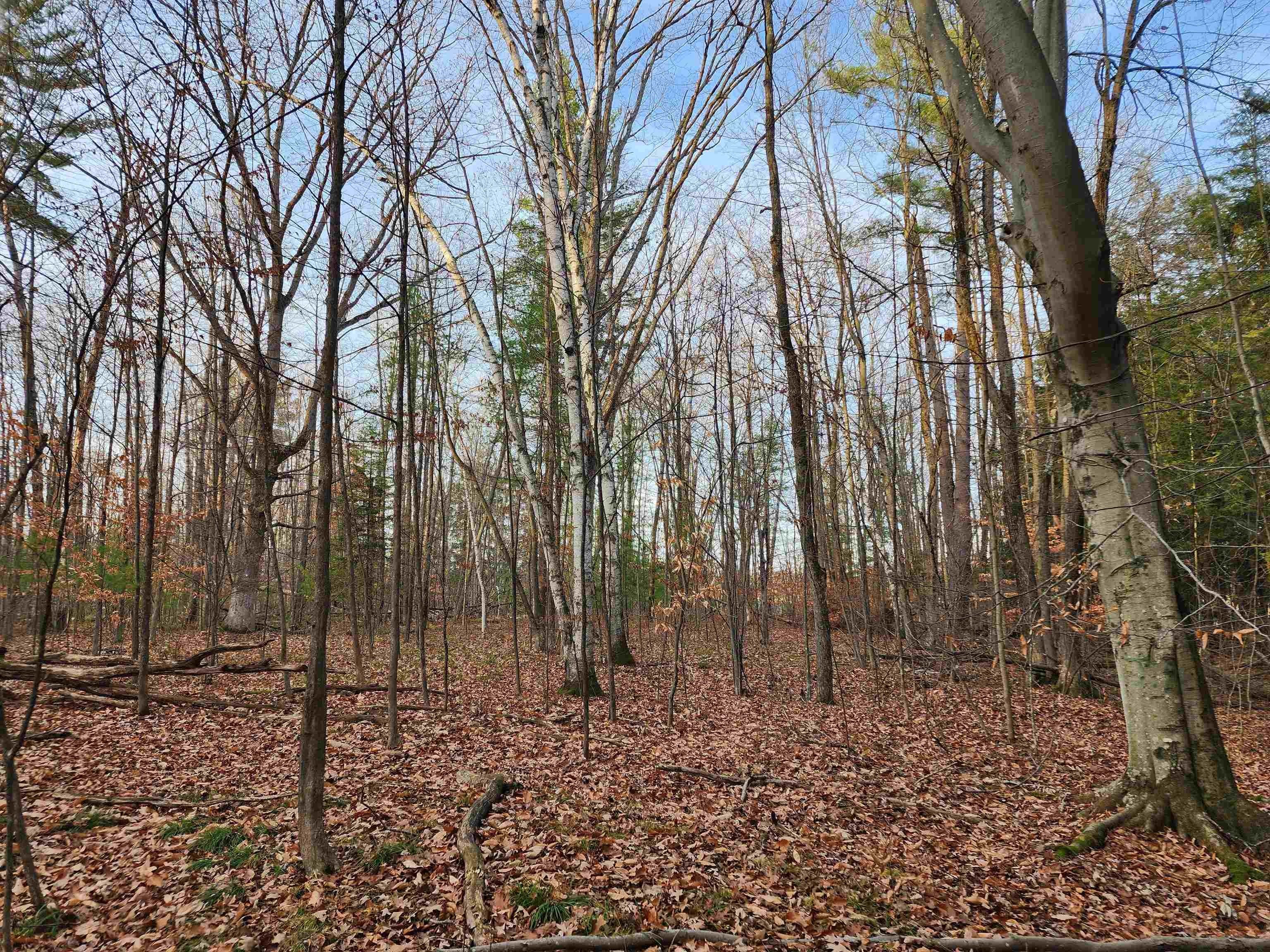 4. 5+/- Acres Browns