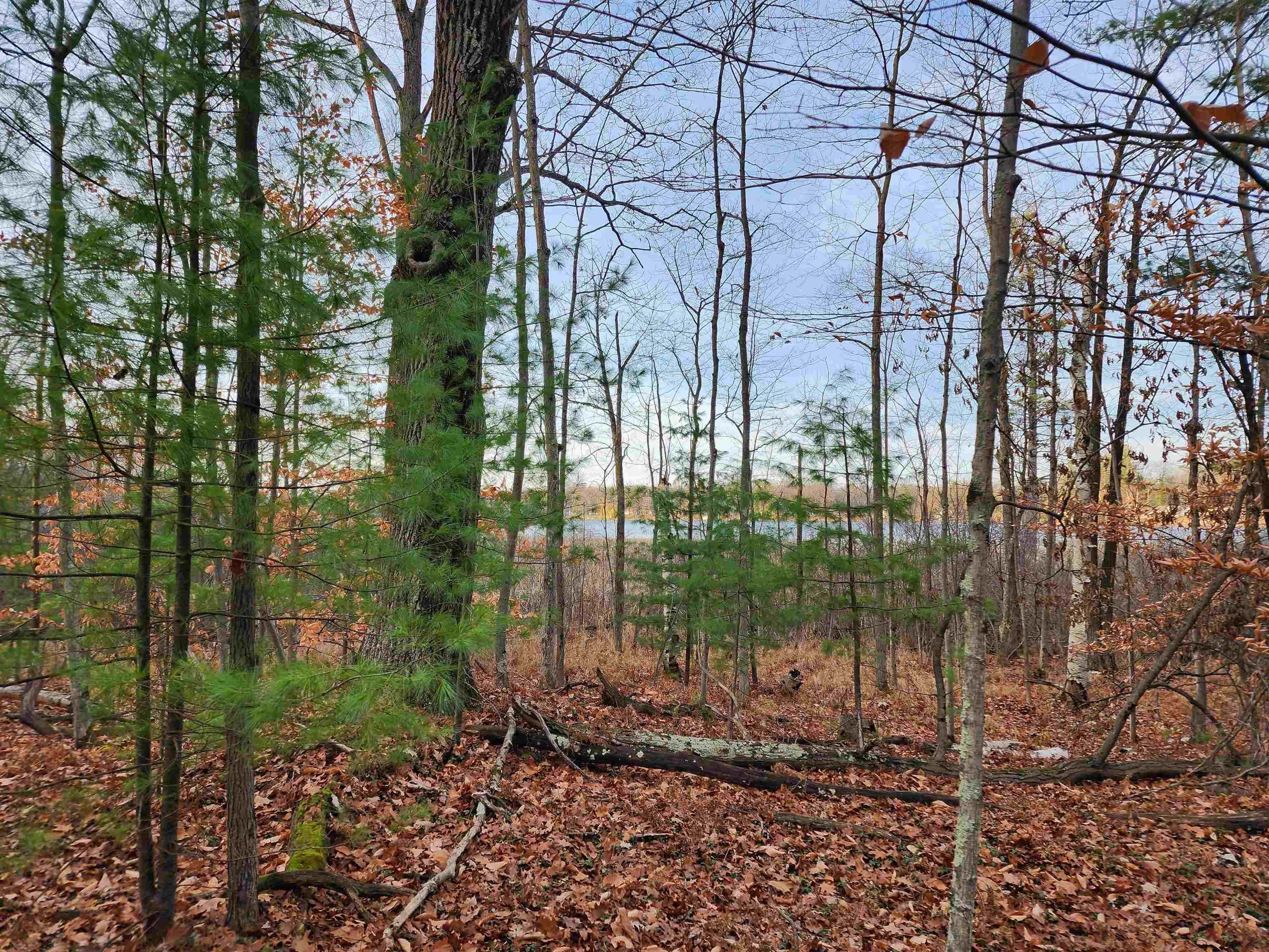 3. 5+/- Acres Browns