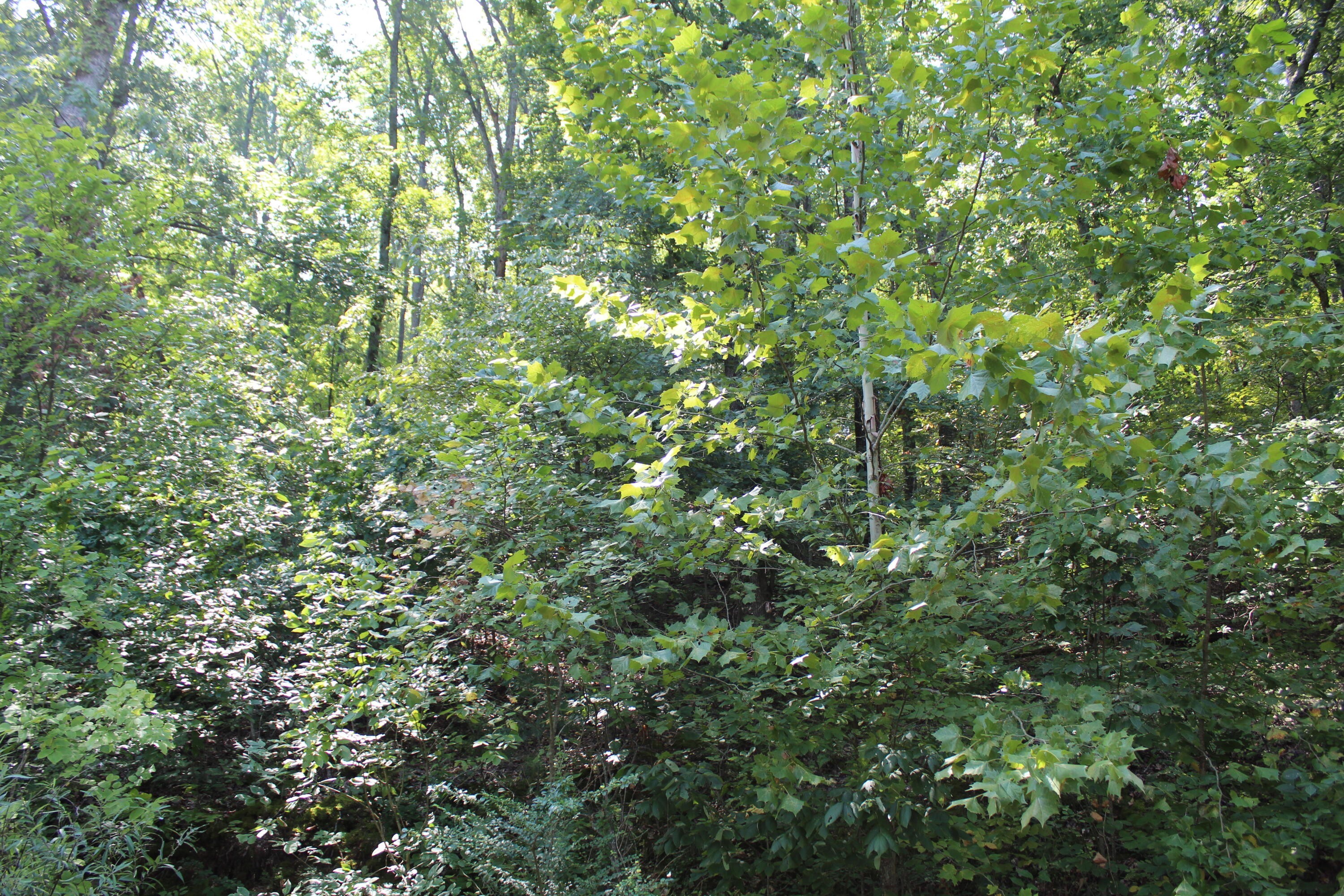 14. 000 Hill Haven Lot 45 Road