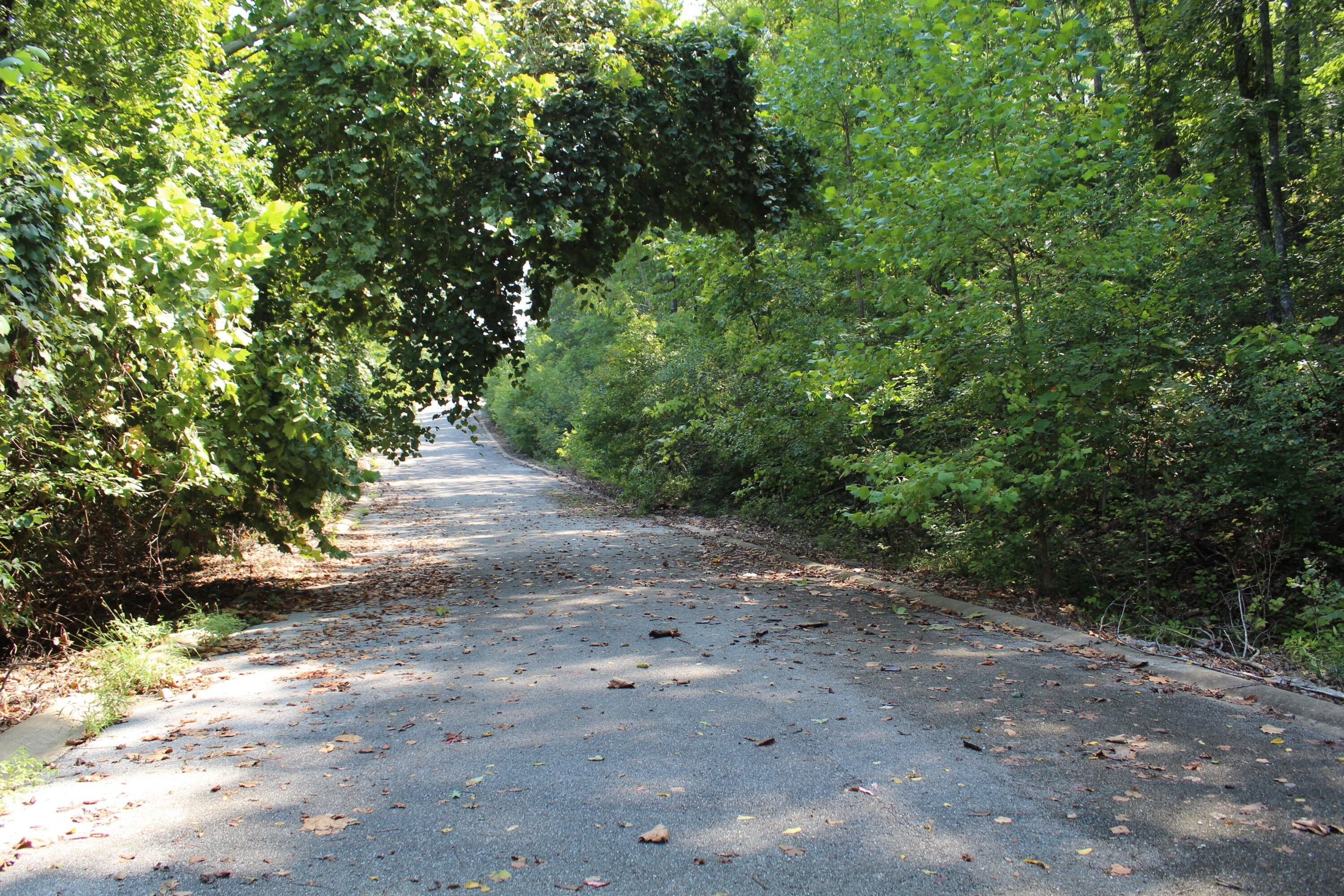 12. 000 Hill Haven Lot 45 Road