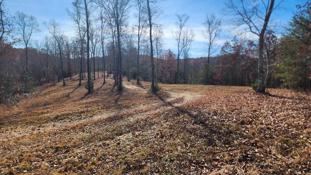 1. 50 Ac Off Hwy 558