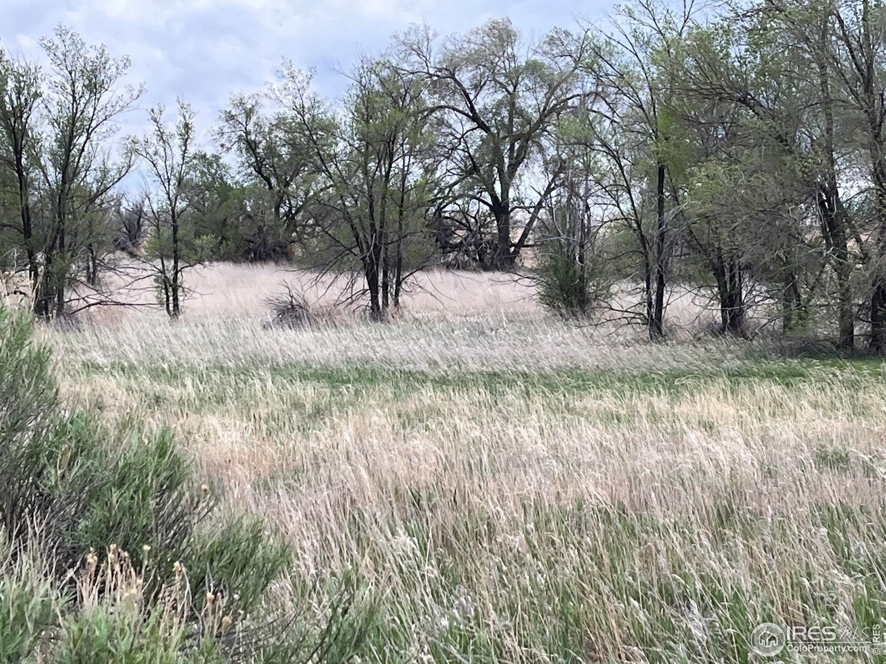 11. 0 Weld County Road 104