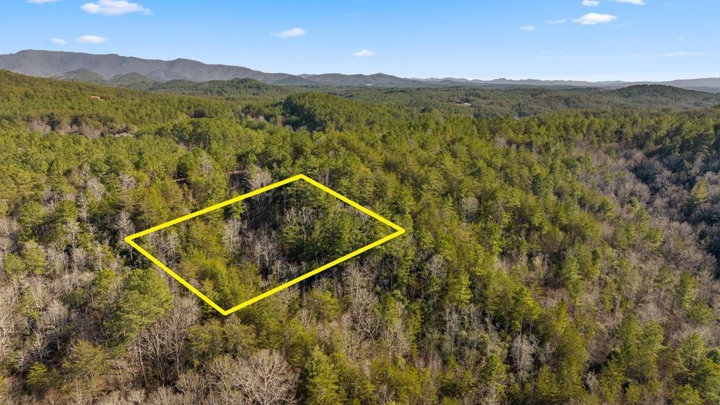 1. Lot 19 Skyline Drive