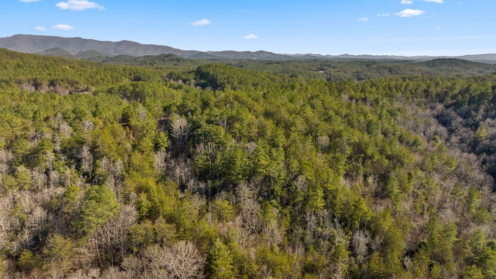 2. Lot 19 Skyline Drive