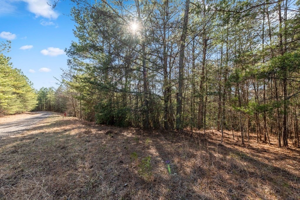 24. Lot 19 Skyline Drive