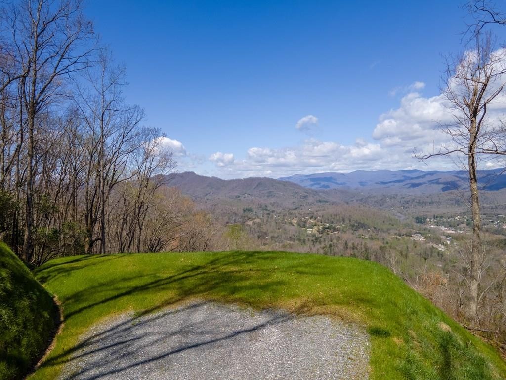 1. Lot 10 Bryson Gap Preserve