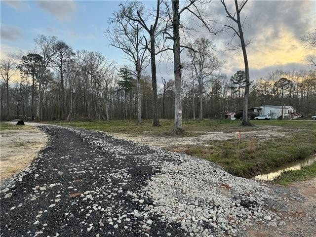 3. 27498 Tract 1-B E Shadow Lake Drive