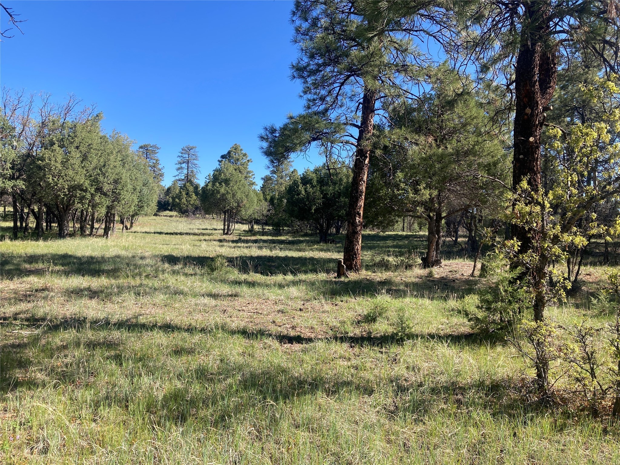 1. Tbd Rim Drive Lot 83