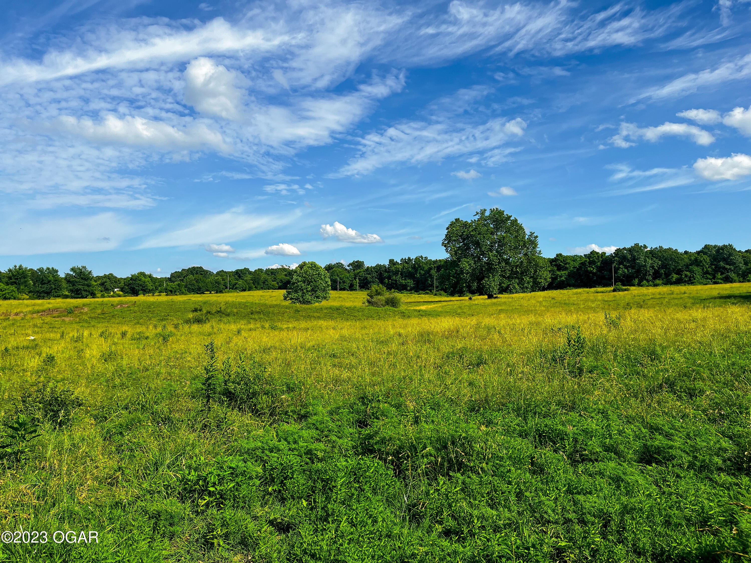 4. 5.5 M/L Acres Hammer Road