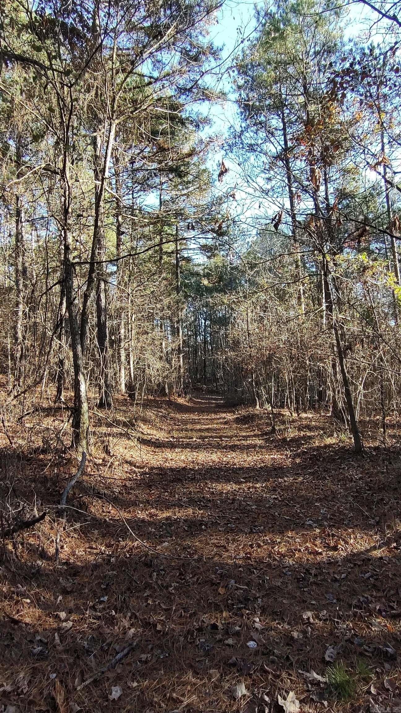 3. Tract 3 Trout Creek Road