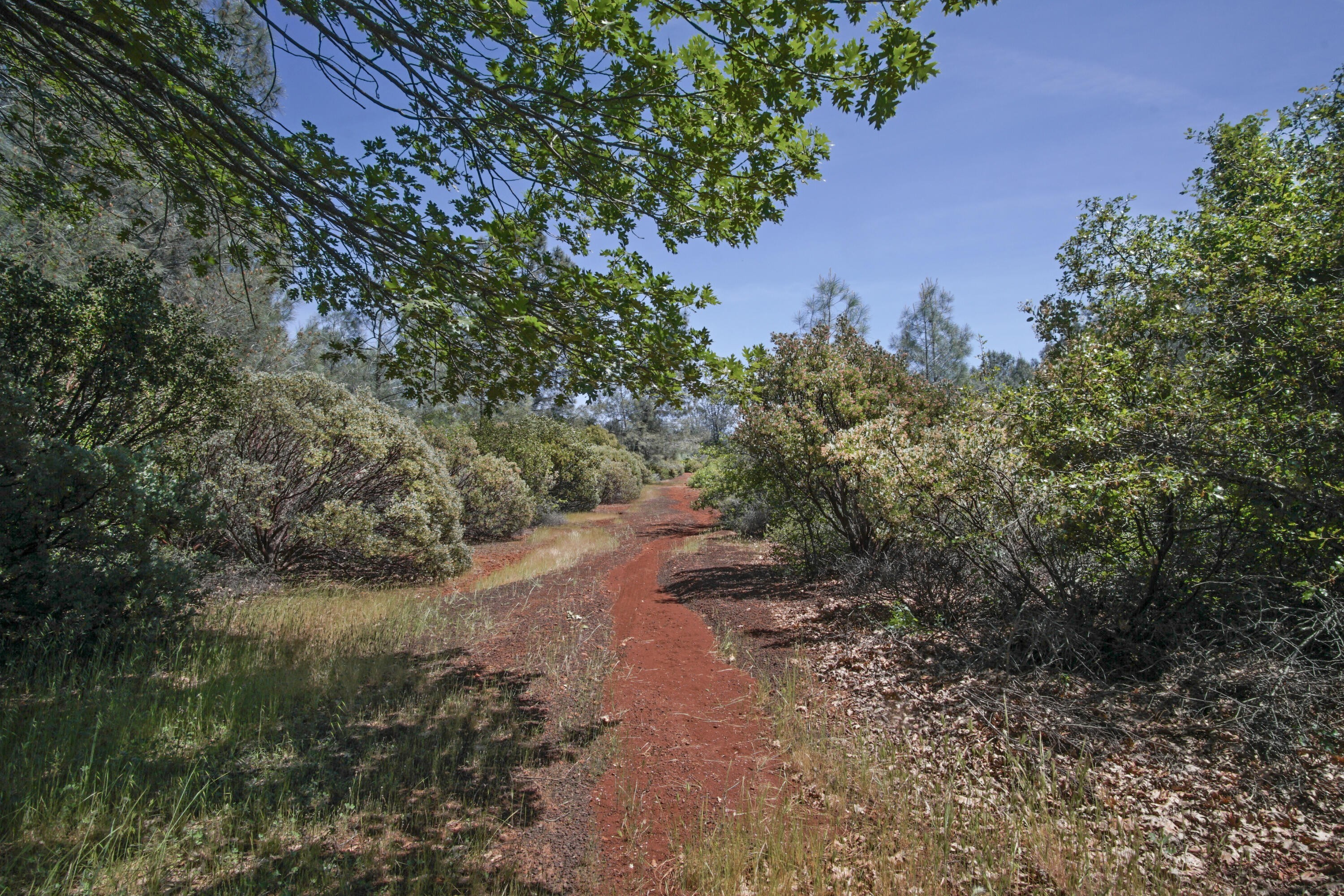 4. Colley Lane