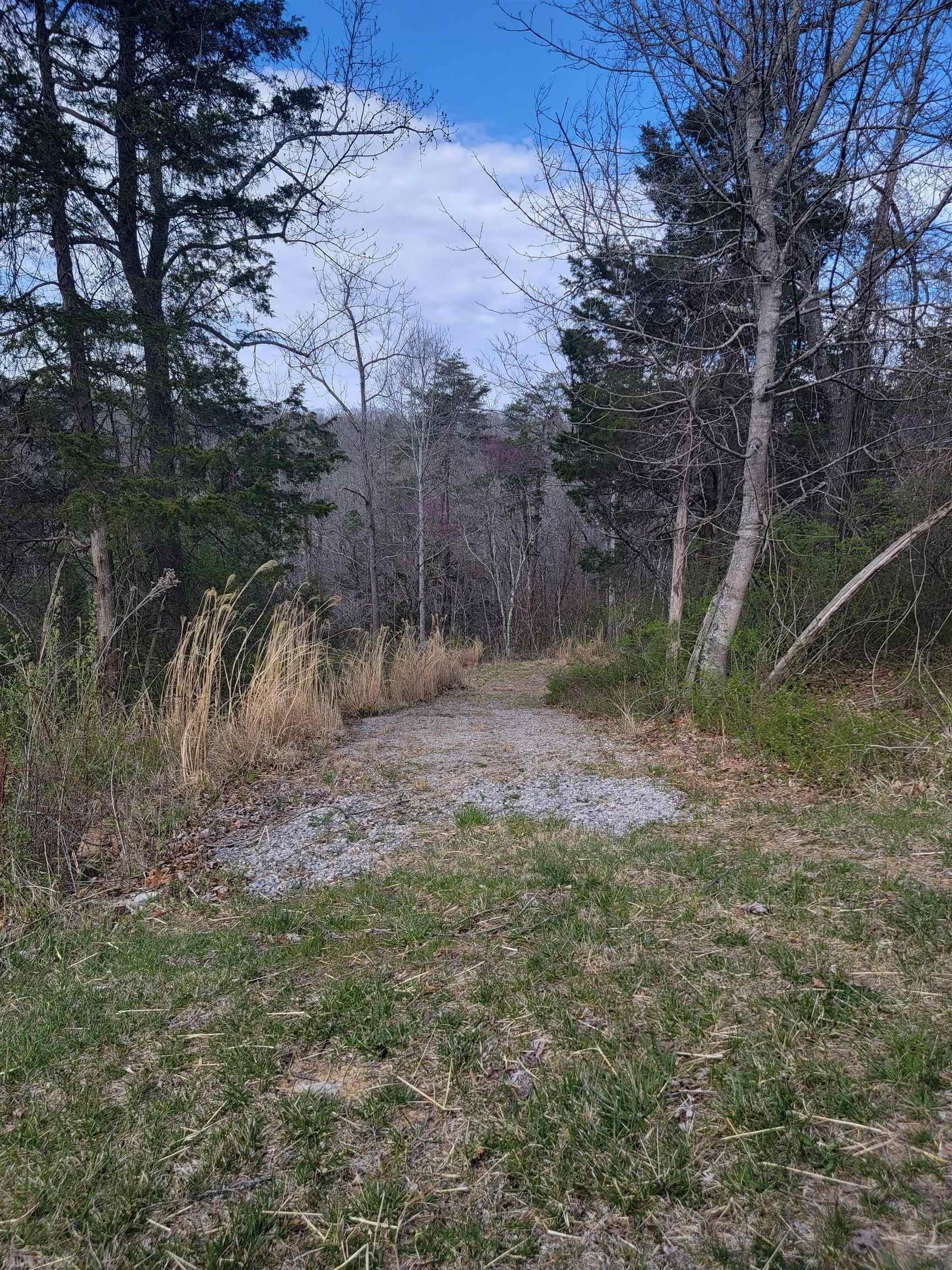 1. Tbd Lot 13 Forest View Lane