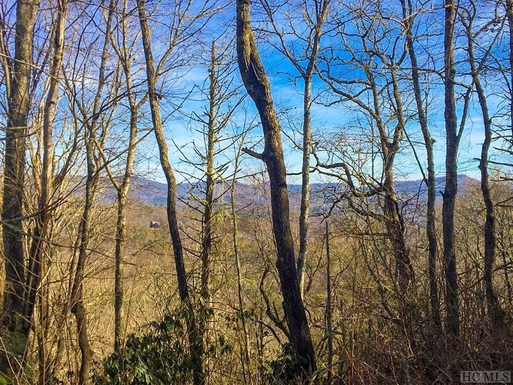 1. Lot 18 Piney Knob Trail