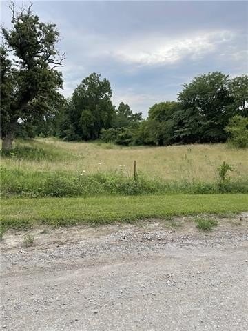 4. 10+/- Ac Lot 1 Salem Road