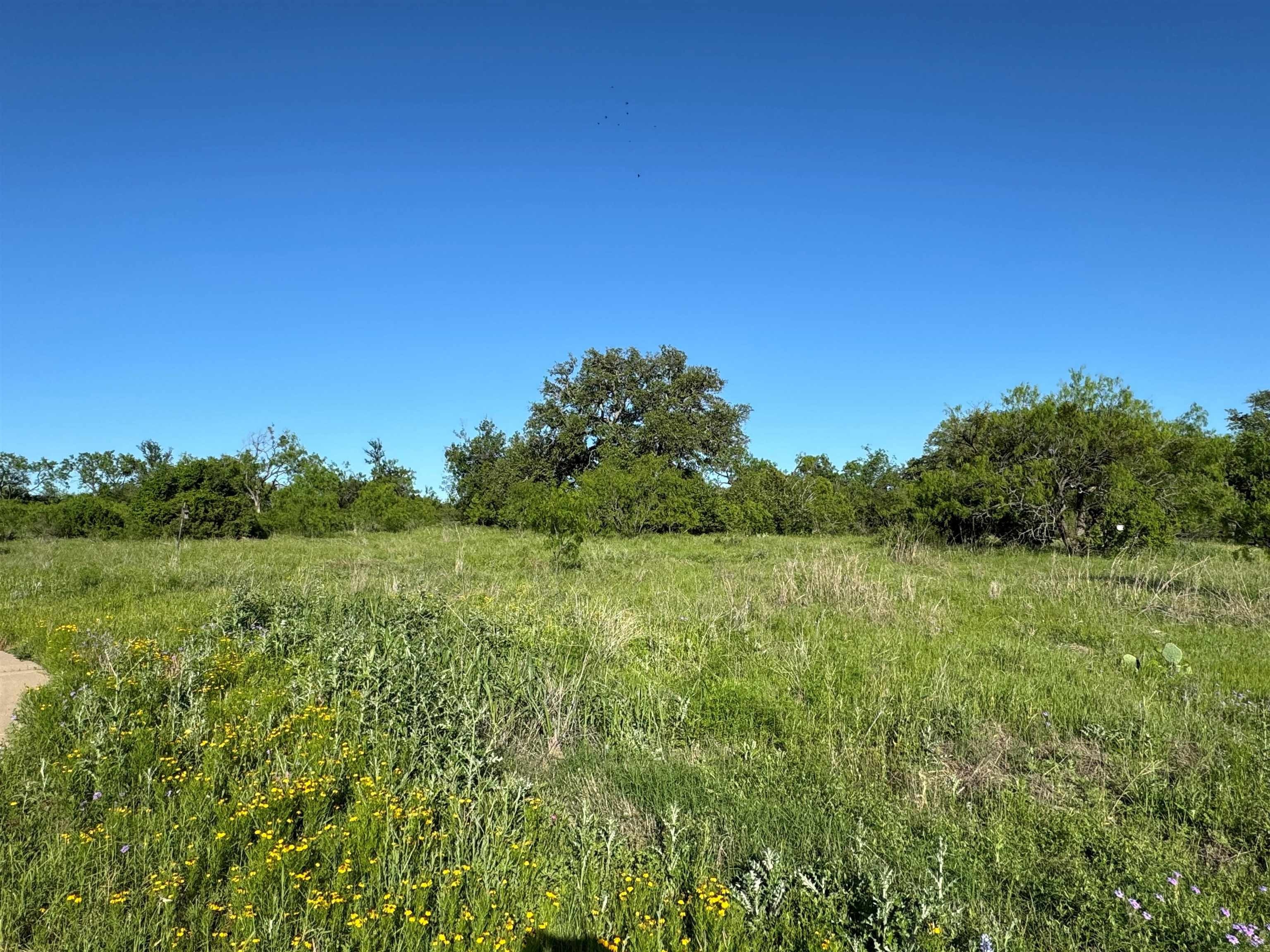 4. Lot 77 Trails Parkway