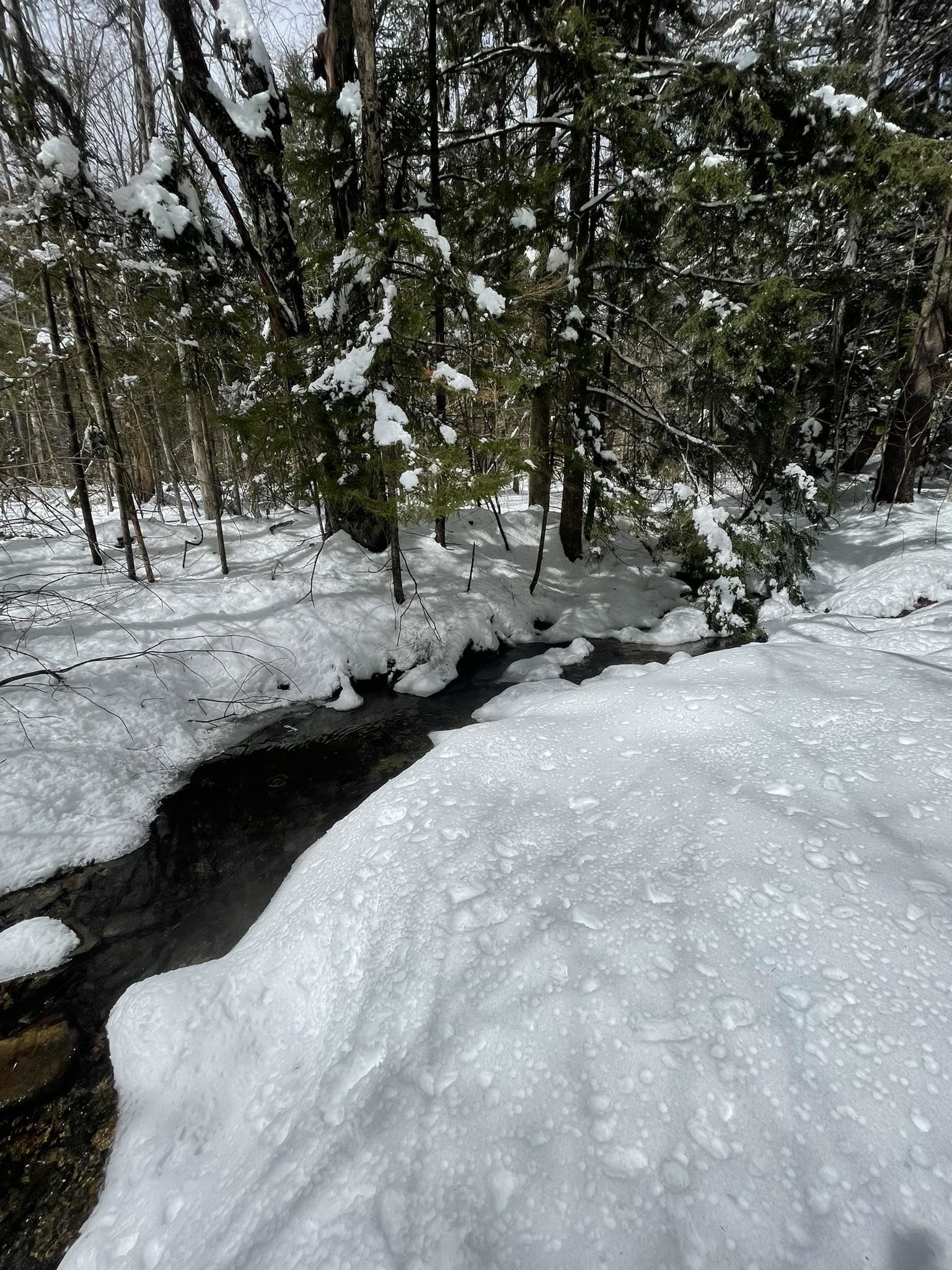 23. Lot Off Lackey Hill Road