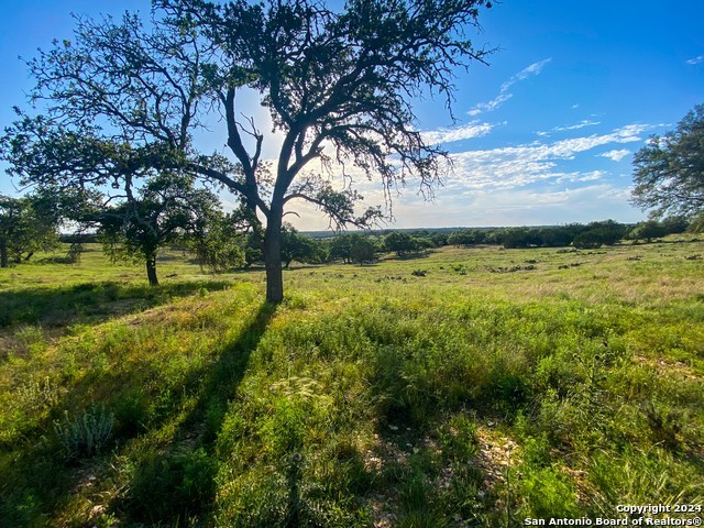 1. Lot 140 Loma Vista Ranch