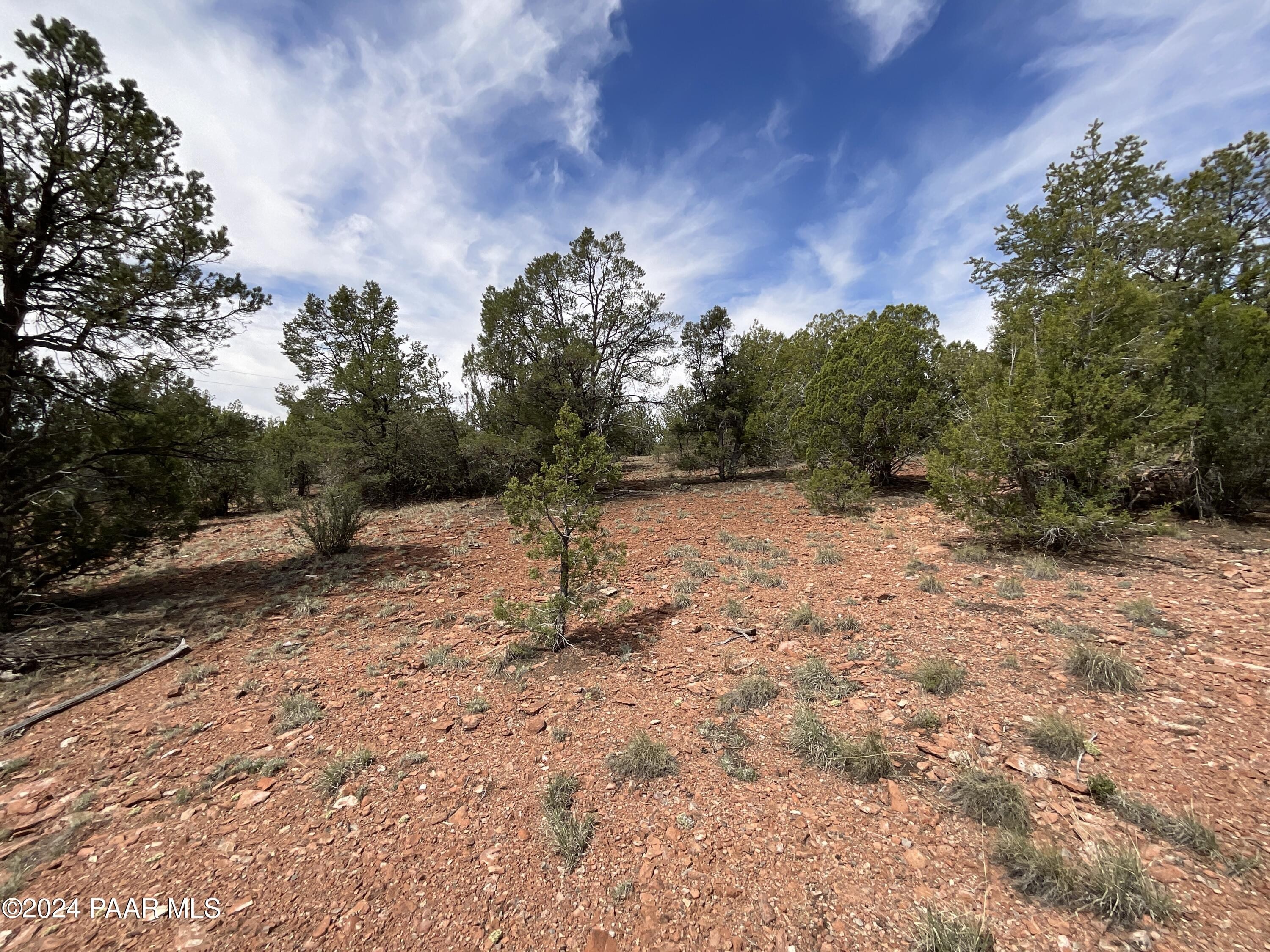 8. Lot 174 Forest Acres