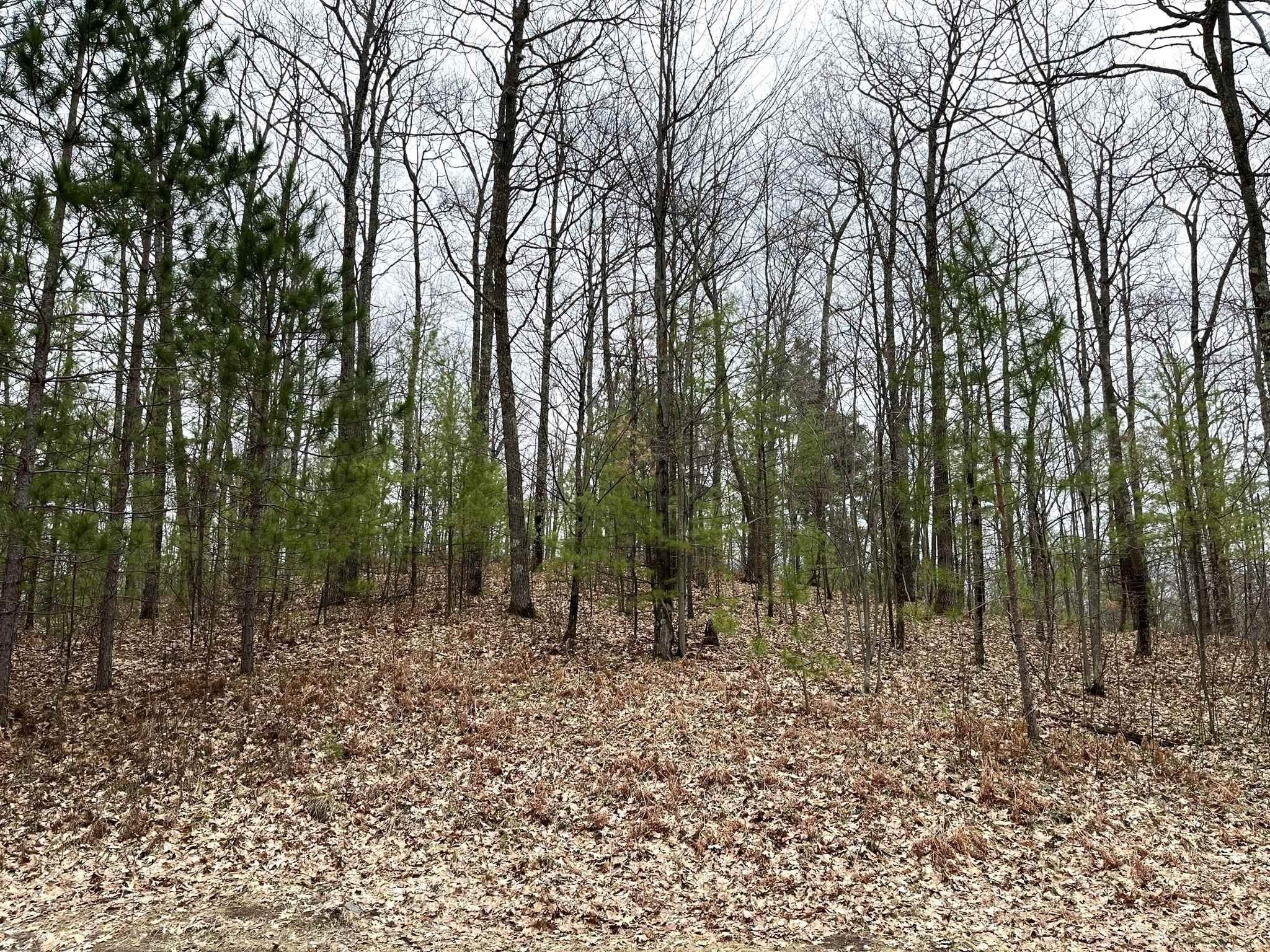 1. Lot 8 Lake Yawkey Drive