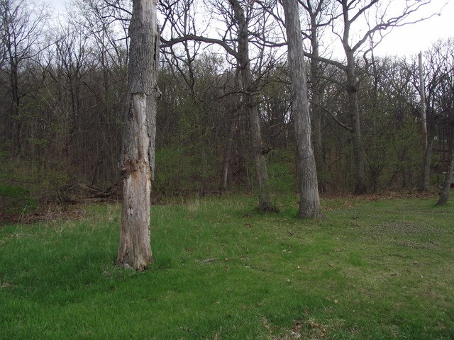 1. Lot 012 Tuscola Avenue