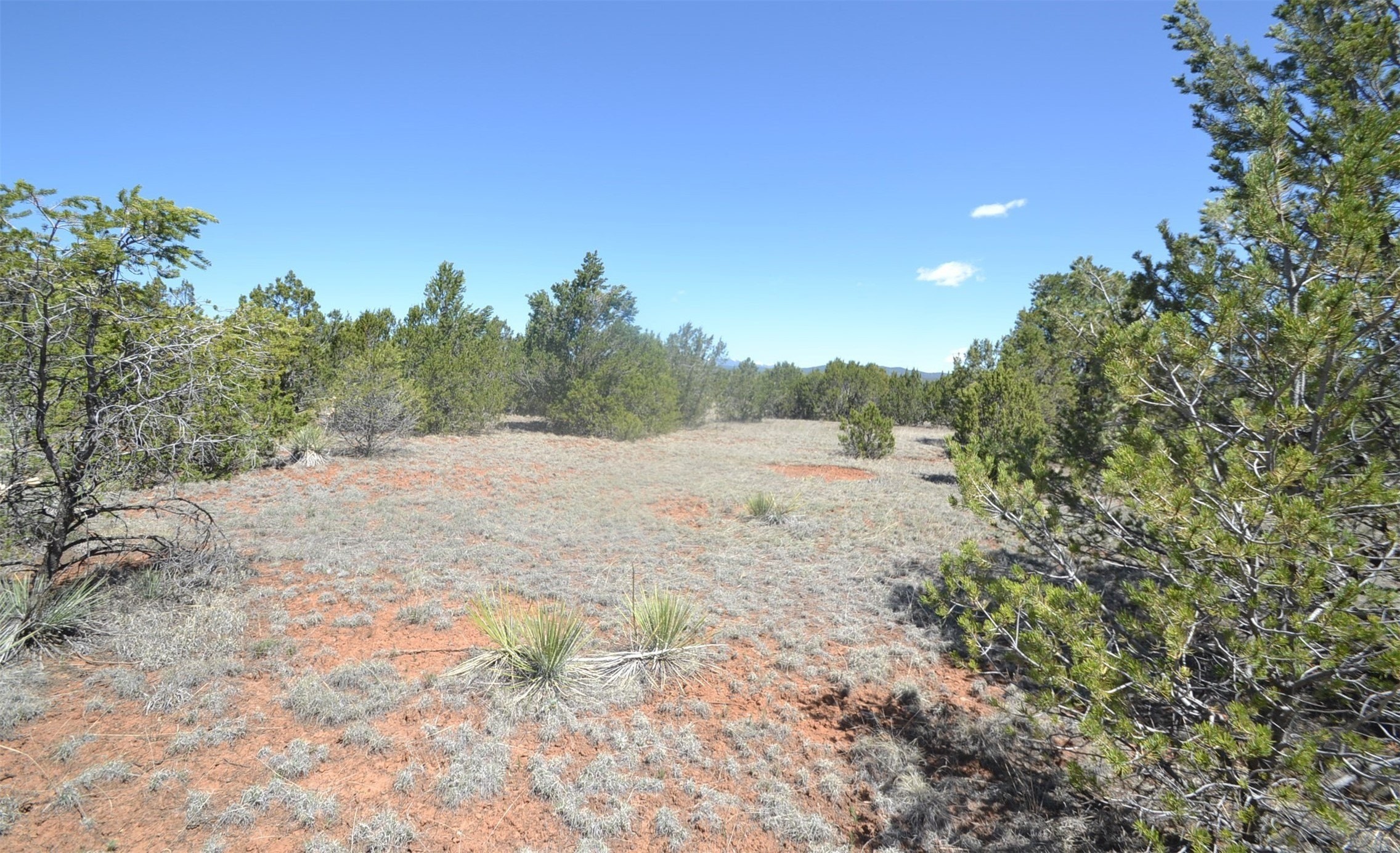 12. Lot 2b Camino Real Loop