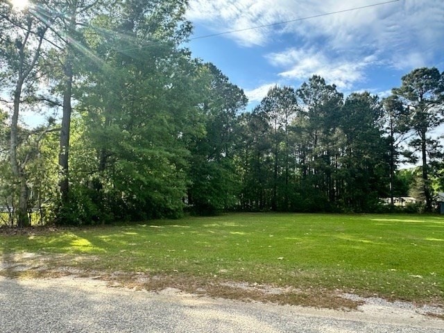 5. Tbd Lake Marion Shores Road (Lot 180)