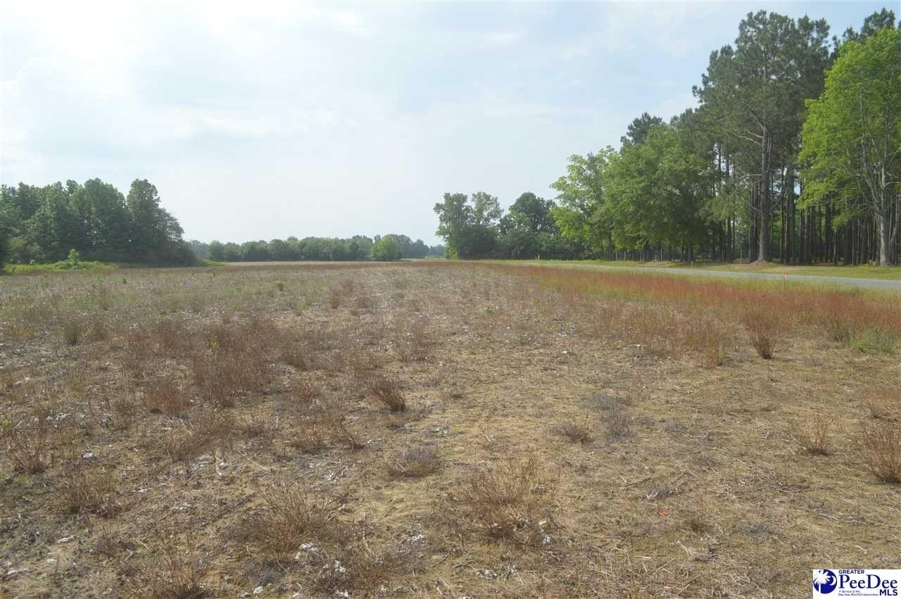 3. Lot 4 Hawk Drive