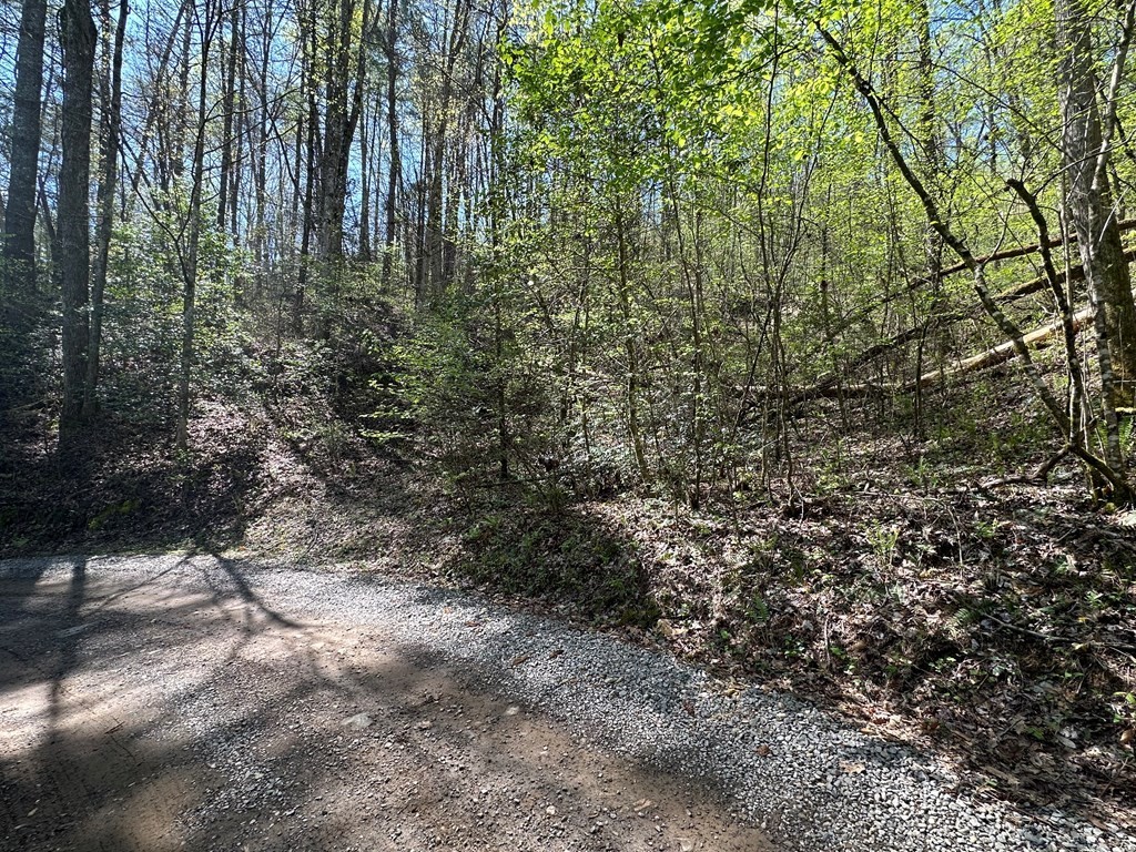 12. Tbd Trail Road