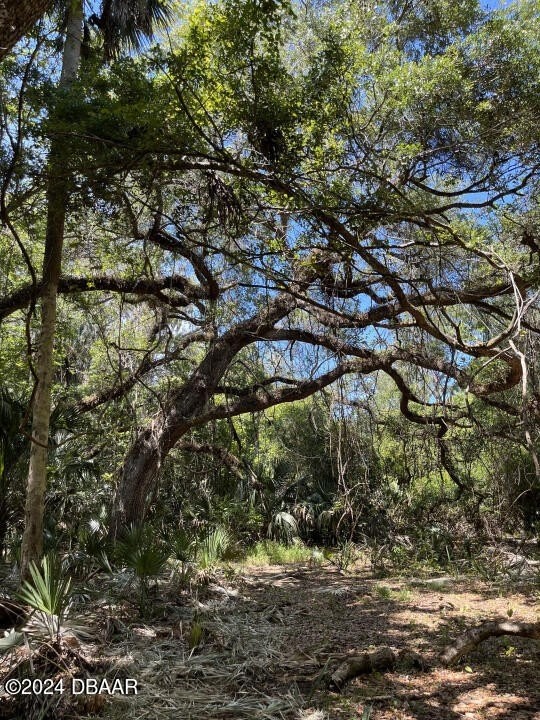 5. 2014 Creek Shore Trail