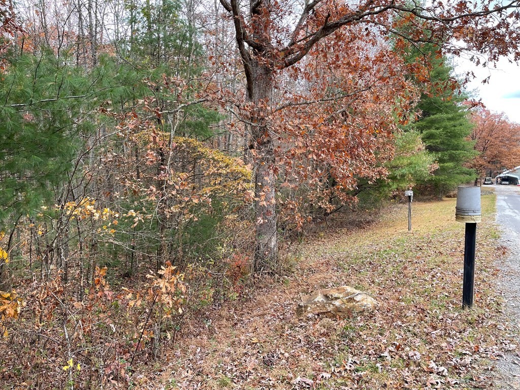 10. Lot 21 Anderson Mountain