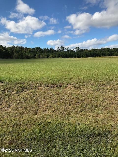 9. Lot 42 Cordgrass Pointe Road